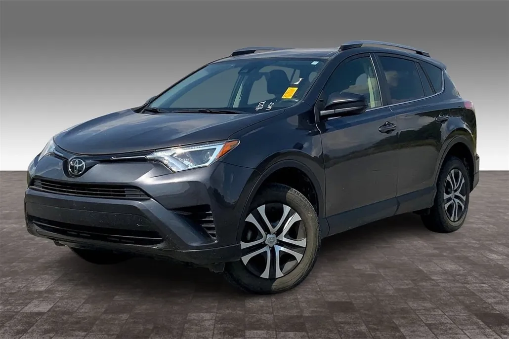 2018 Toyota RAV4 LE photo 1