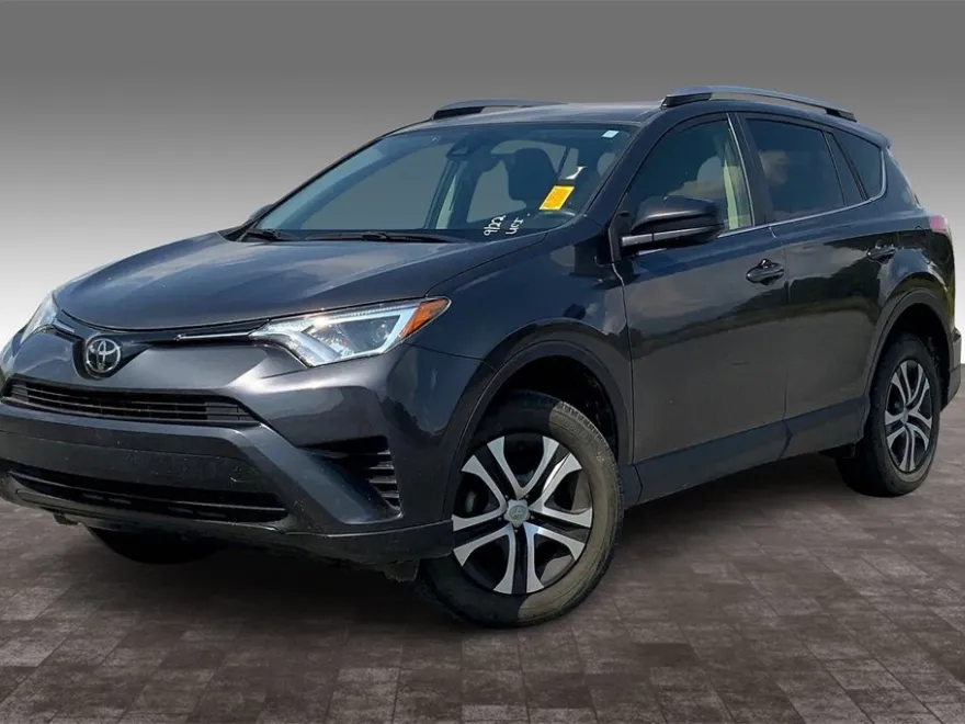 2018 Toyota RAV4 LE photo 1