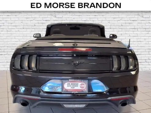 2019 Ford Mustang EcoBoost photo 4