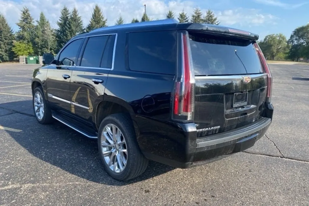 2019 Cadillac Escalade Luxury photo 1
