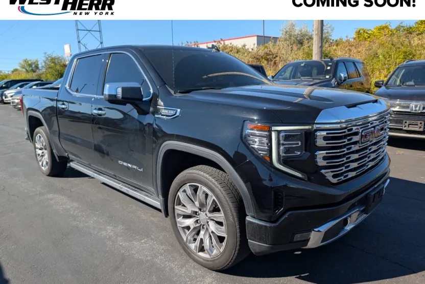 2024 Gmc Sierra 1500 Denali photo 1