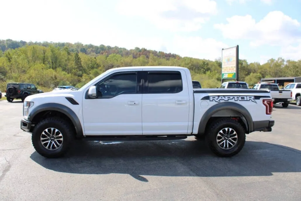 2020 Ford F-150 Raptor photo 1