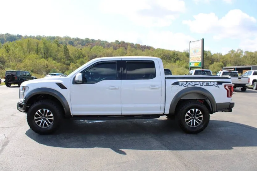 2020 Ford F-150 Raptor photo 1
