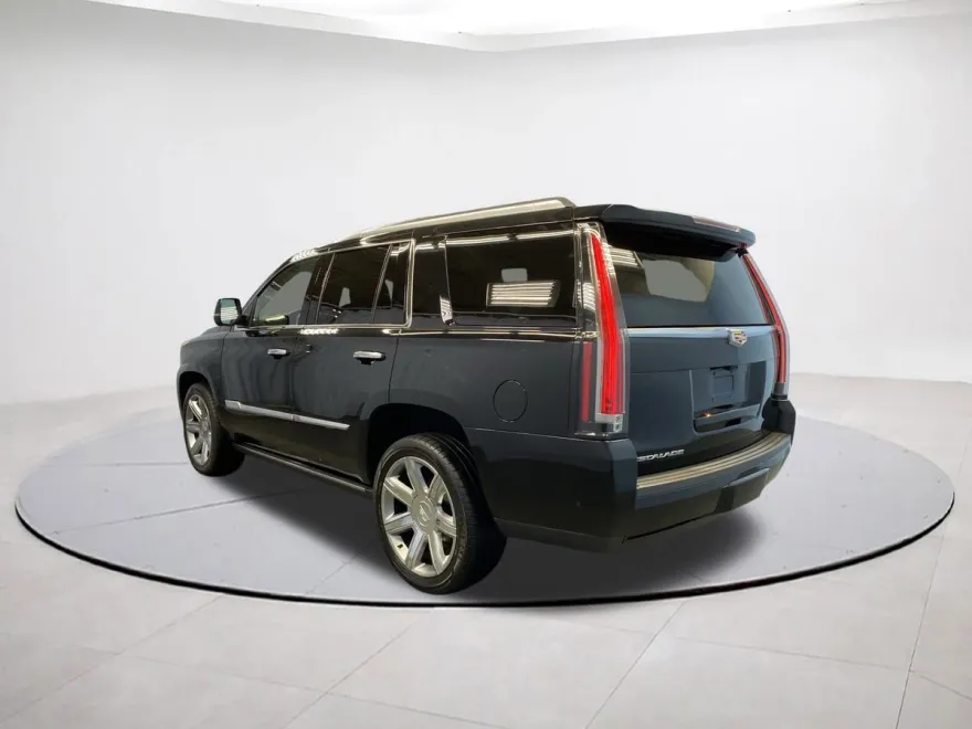 2019 Cadillac Escalade Premium Luxury photo 1