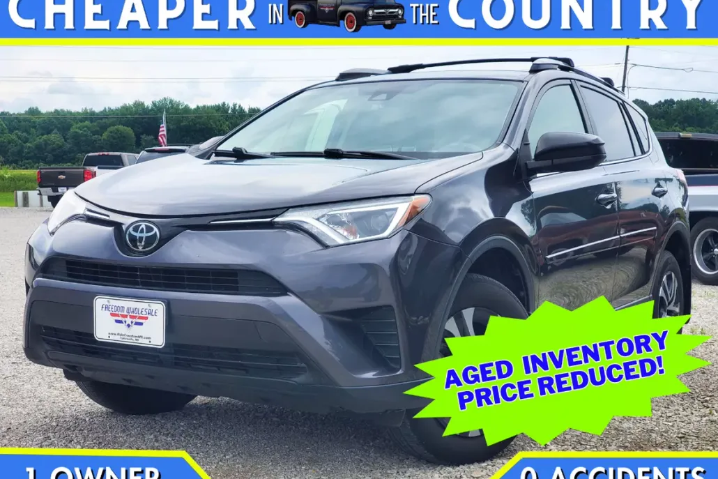 2017 Toyota RAV4 LE photo 1