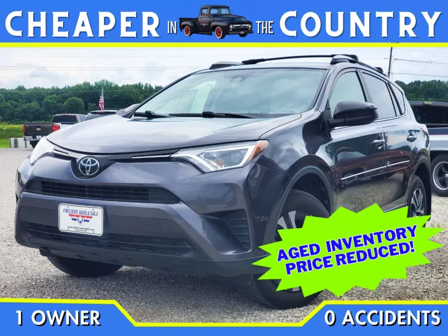 2017 Toyota RAV4 LE photo 1