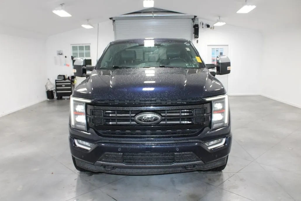 2022 Ford F-150 Platinum photo 1