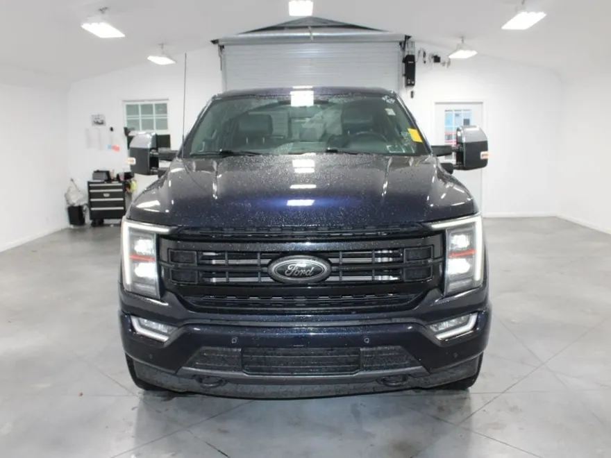 2022 Ford F-150 Platinum photo 1